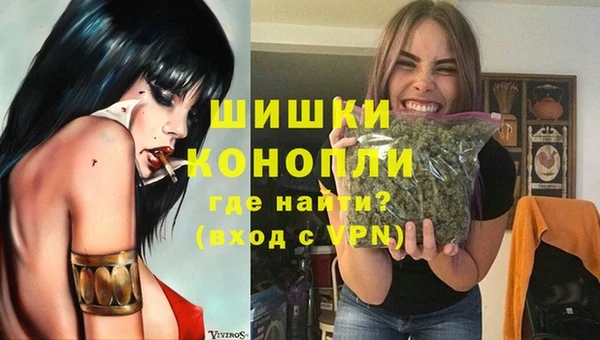 гидропоника Медногорск