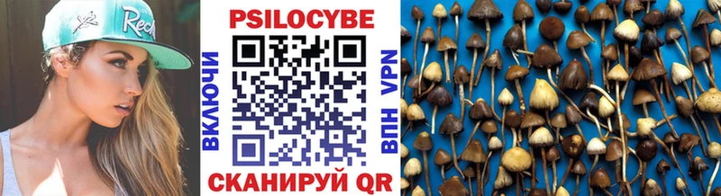 Галлюциногенные грибы Psilocybine cubensis купить закладку Отрадное